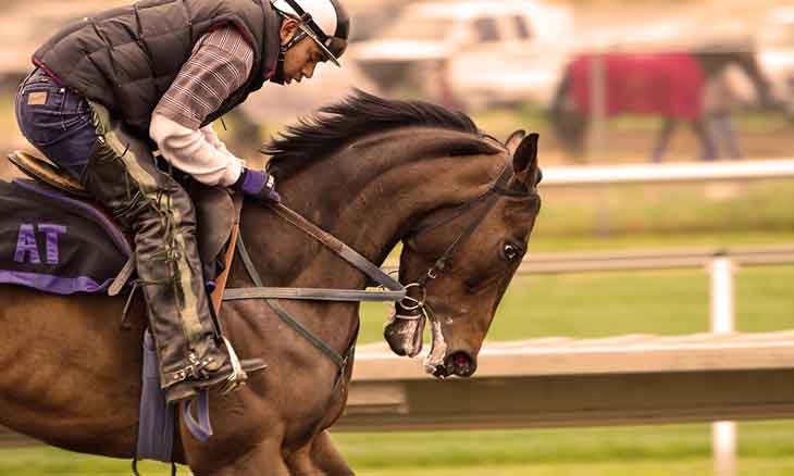 horseback-riding